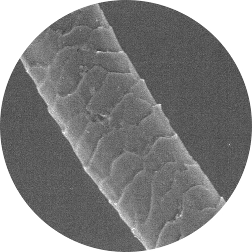 ウール繊維顕微鏡写真